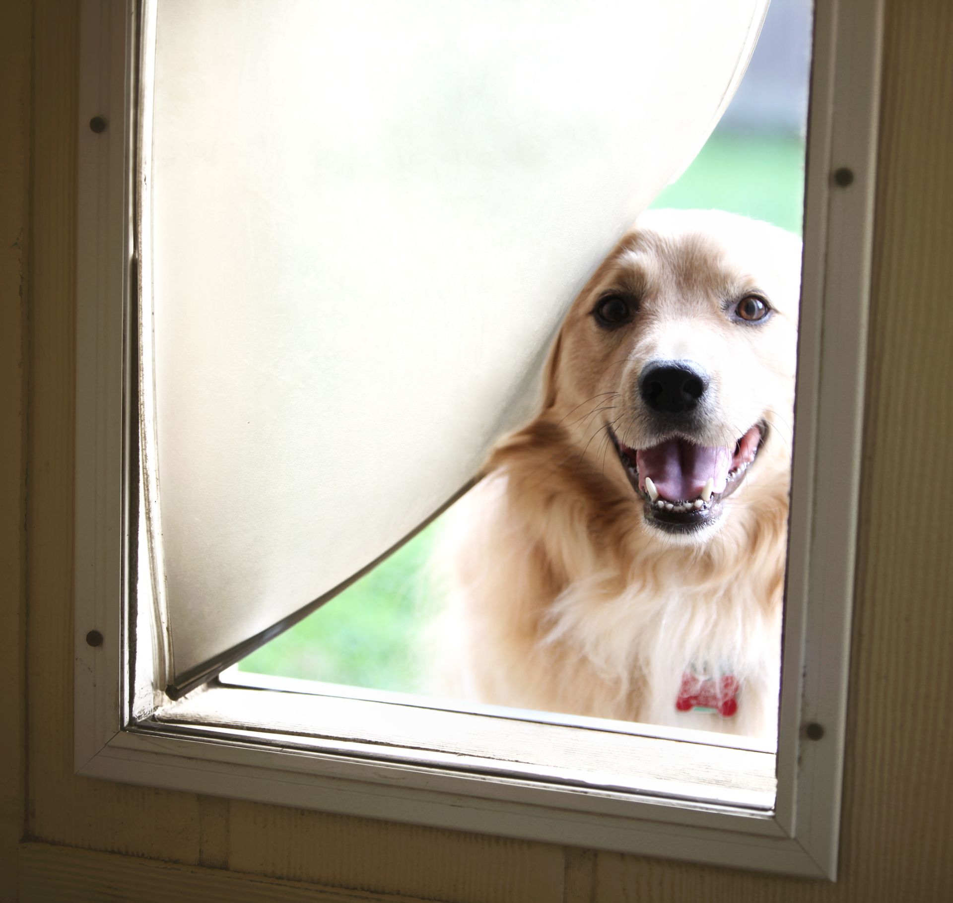 how to install a dog door