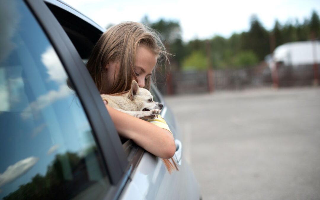 Child or Pet Locked in a Car: Urgent Actions to Take Right Now in Houston, TX